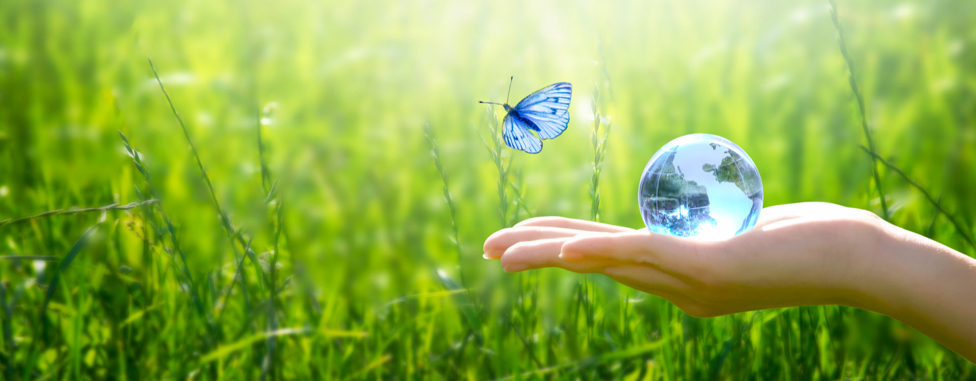 Titelbild von ESG Fonds